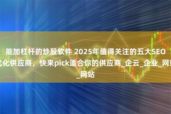 能加杠杆的炒股软件 2025年值得关注的五大SEO优化供应商，快来pick适合你的供应商_企云_企业_网站